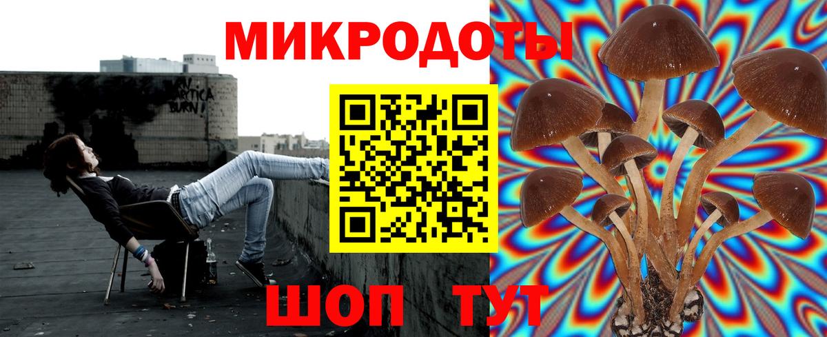 Галлюциногенные грибы мицелий Минусинск