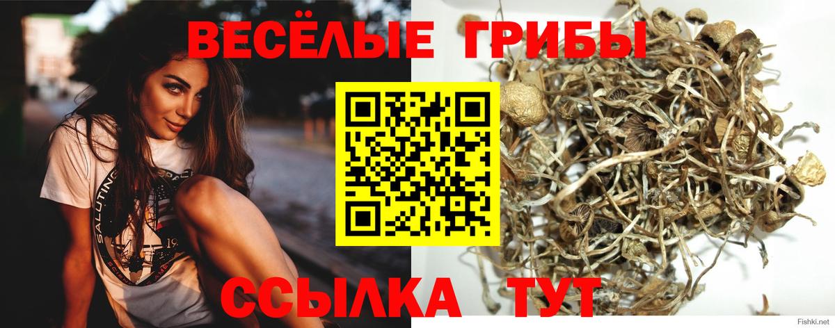 Галлюциногенные грибы мухоморы  Псилоцибиновые грибы Psilocybe  Минусинск  Вход с VPN 